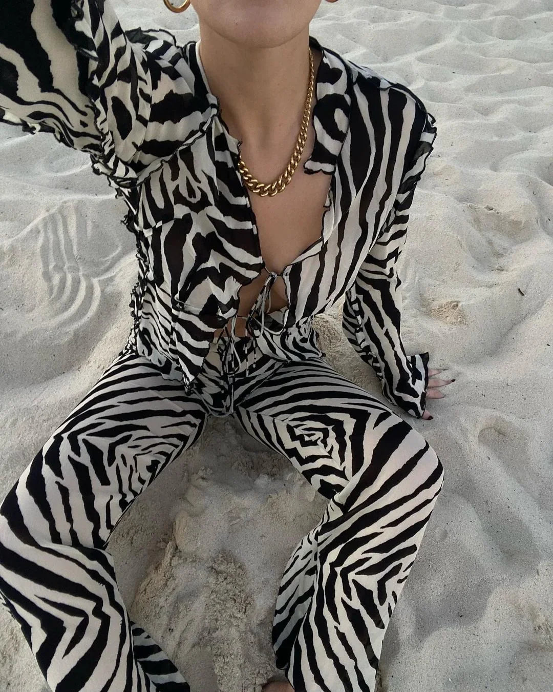 eybag Animal Print Mesh Sheer Stripe Tie Front Detail Top Matching Sets Fashion Outfits 2 Piece Sets Holiday Beachwear Y2k Pants