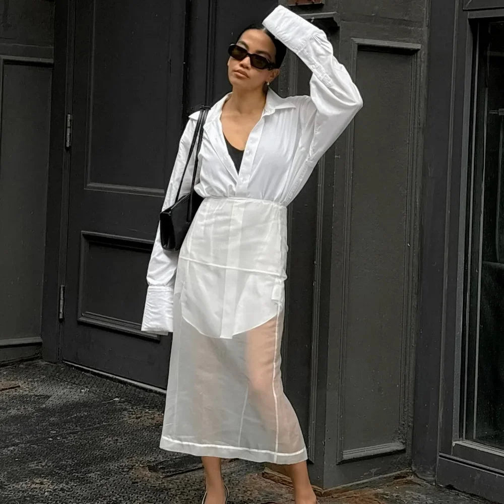 eybag White Mesh Midi Skirt Women Sexy See Through Straight Skirts Autumn Winter Casual Loose High Waist Skirt 2024 Holiday Outfits