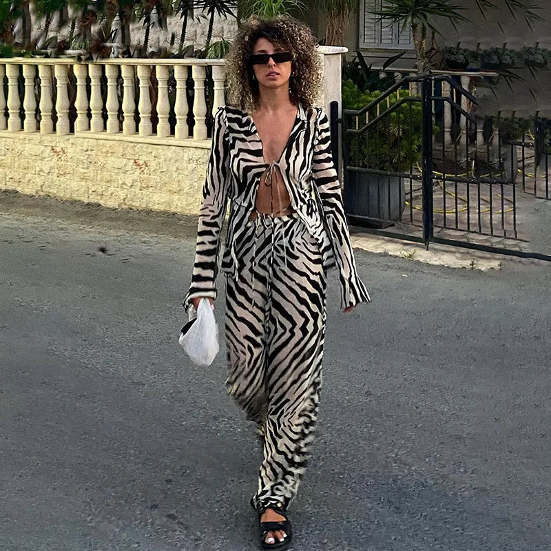 eybag Animal Print Mesh Sheer Stripe Tie Front Detail Top Matching Sets Fashion Outfits 2 Piece Sets Holiday Beachwear Y2k Pants